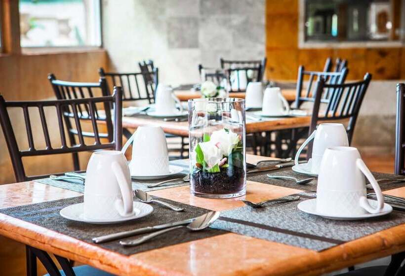 Fotos del hotel Palacio Maya:  5