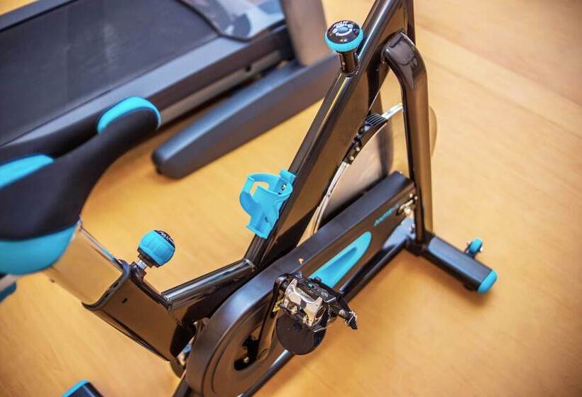 Fotos del hotel Palacio Maya:  16