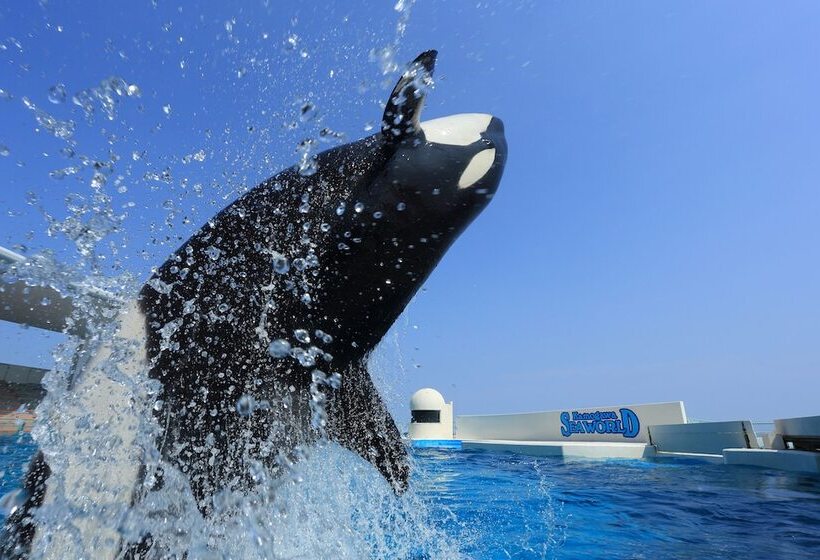 Fotos del hotel Kamogawa  Mikazuki:  6