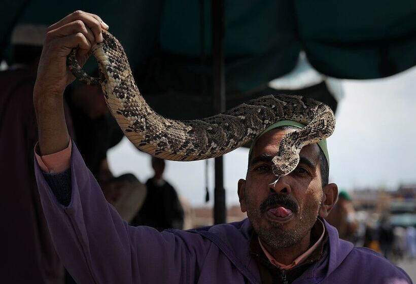 Fotos del hotel Riad Safia:  6