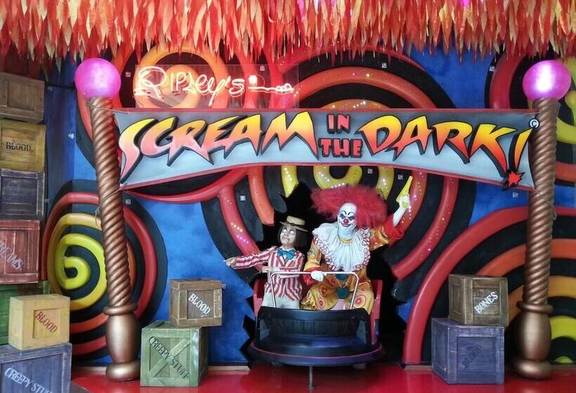 Fotos del hotel Snoozzotel:  18