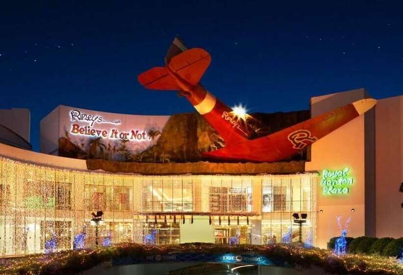 Fotos del hotel Snoozzotel:  25