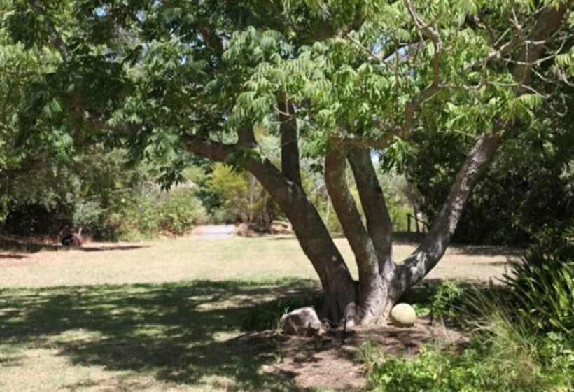 Fotos del hotel Fawkes House Country Spa Retreat:  2