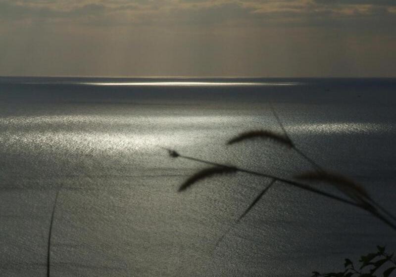 Fotos del hotel Para Resort:  11