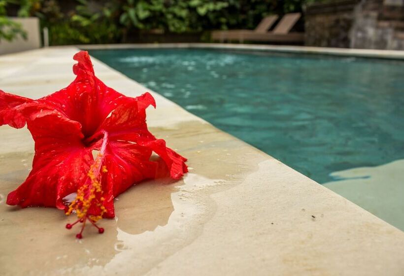 Fotos del hotel Bisma Jaya Bungalow:  6