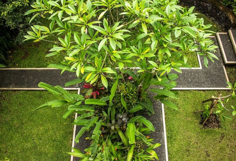 Fotos del hotel Bisma Jaya Bungalow:  12