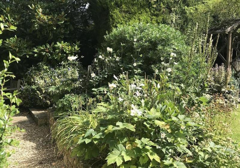 Fotos del hotel Pigeon House Cottage B&b:  7