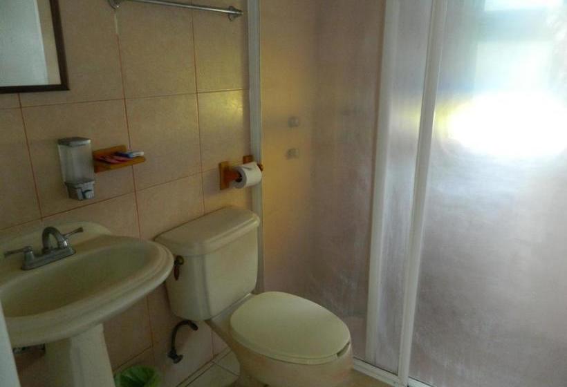 Fotos del hotel Valeryk:  14