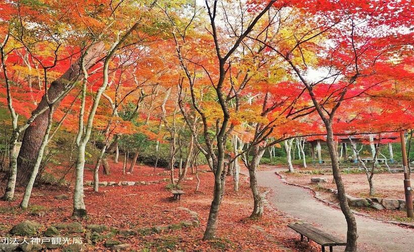 Fotos del hotel Kanponoyado Arima:  6