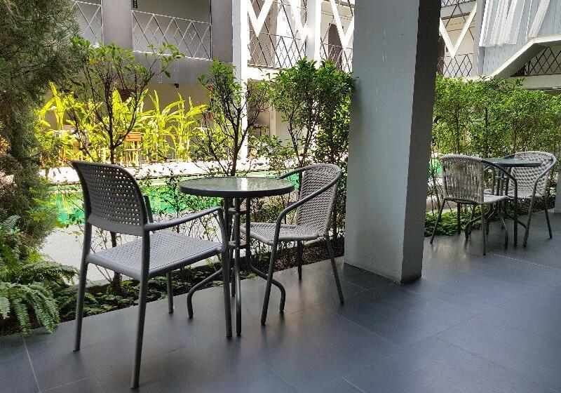 Fotos del hotel Shane:  6