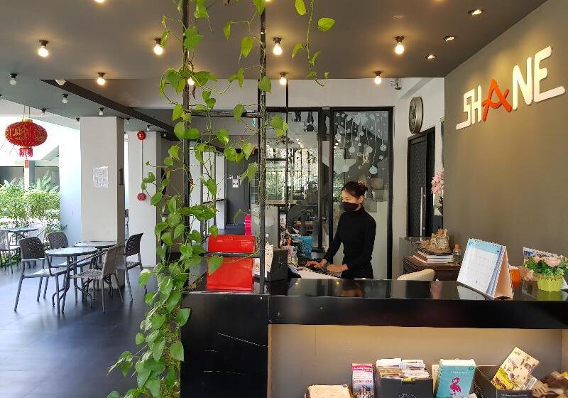 Fotos del hotel Shane:  7