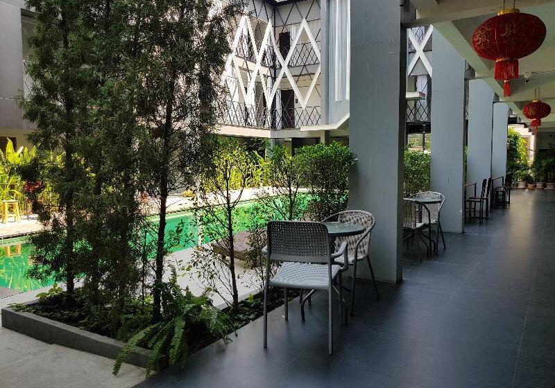 Fotos del hotel Shane:  8