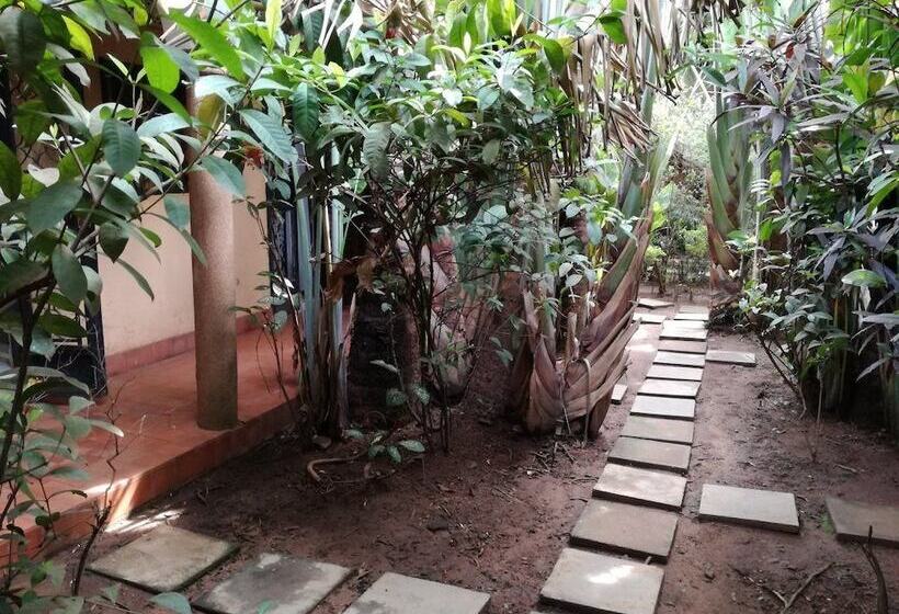 Fotos del hotel Lovisa Country:  5