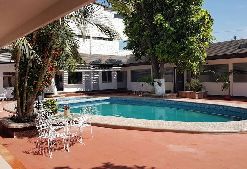 Fotos del hotel Safari:  2