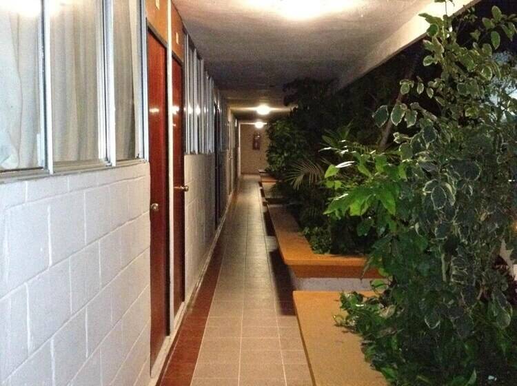 Fotos del hotel Safari:  3