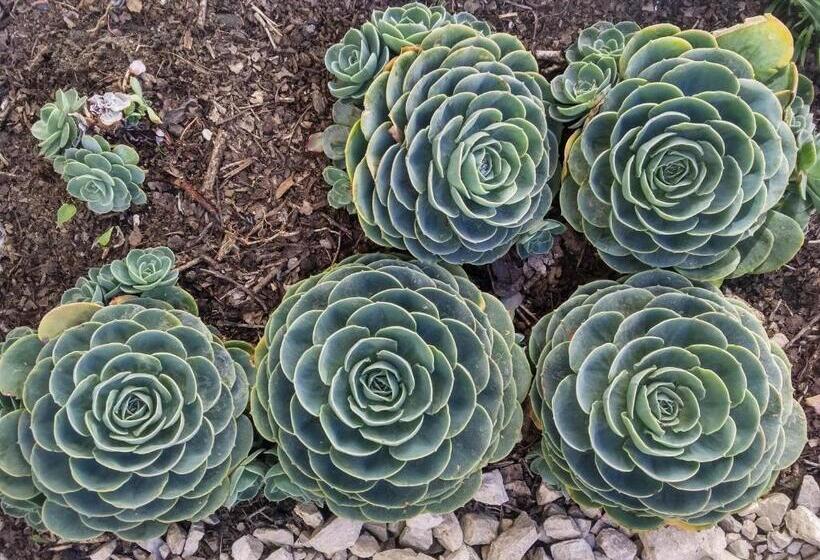 Fotos del hotel La Tozi Galeria:  11