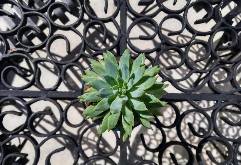 Fotos del hotel La Tozi Galeria:  15