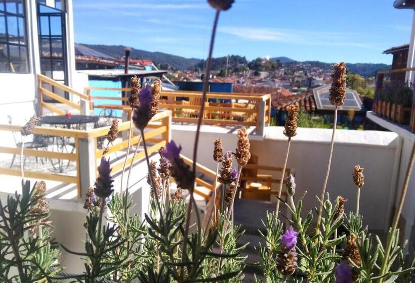 Fotos del hotel La Tozi Galeria:  19