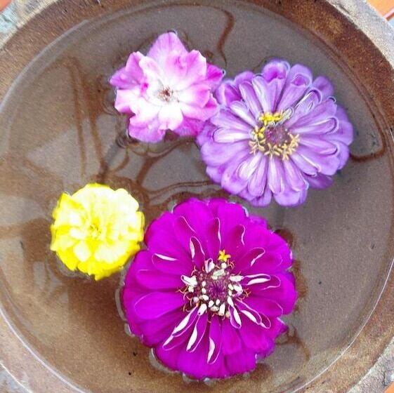 Fotos del hotel Yangshuo Zen Valley:  10