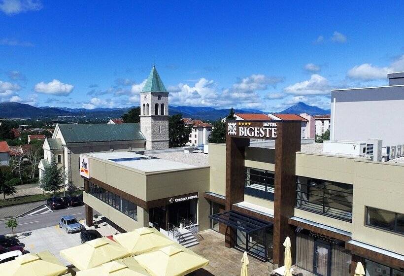 Fotos del hotel Bigeste:  7