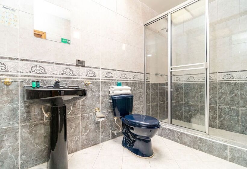 Fotos del hotel Ayenda 1052 Quintas De Normandia:  12