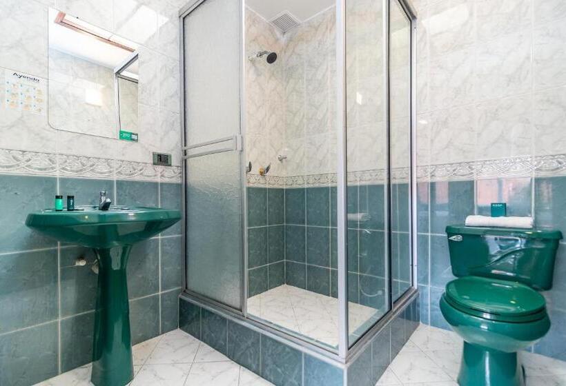 Fotos del hotel Ayenda 1052 Quintas De Normandia:  7