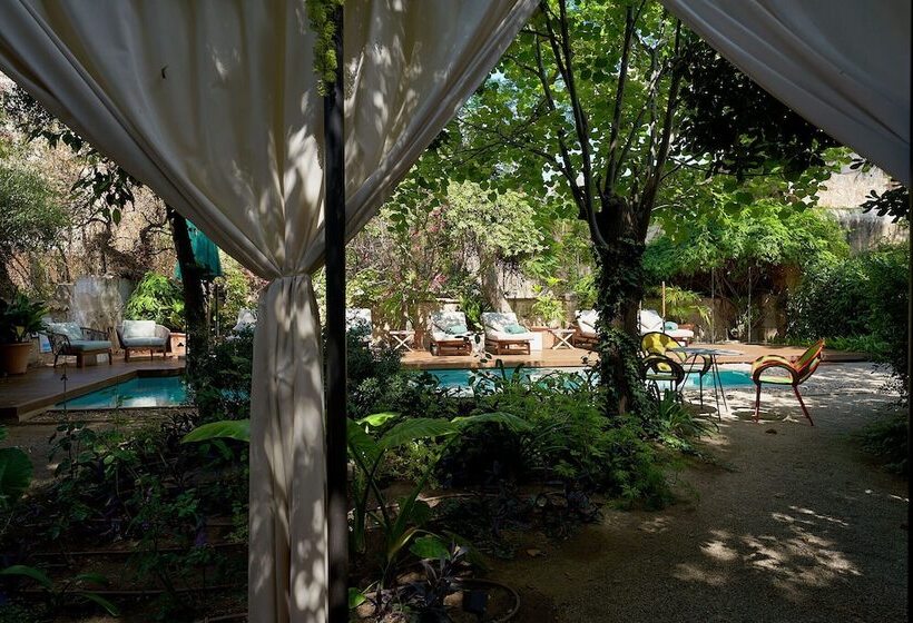 Fotos del hotel Can Bordoy Grand House & Garden:  14