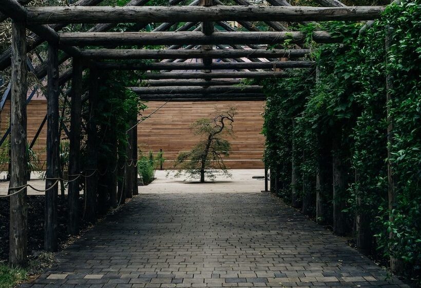 Fotos del hotel Stamba:  12