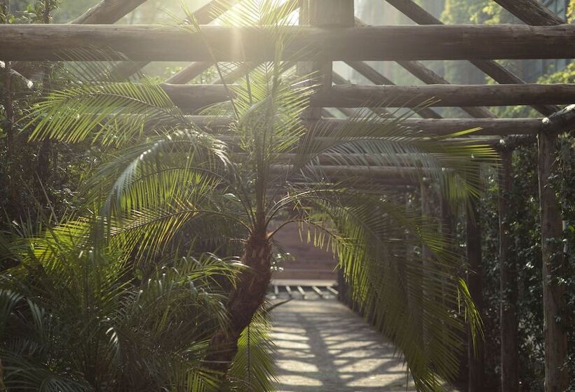 Fotos del hotel Stamba:  14