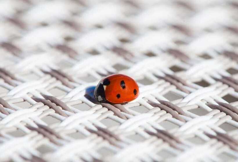 Fotos del hotel Zeus:  11