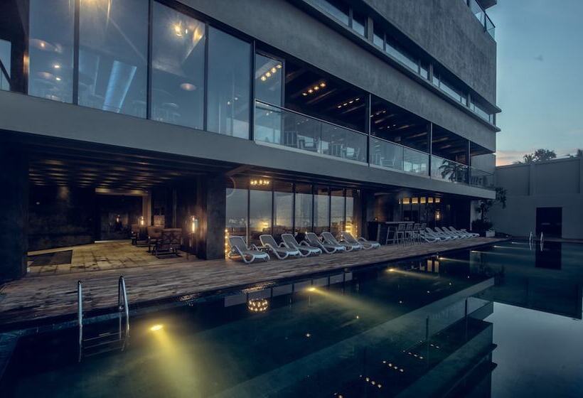 Fotos del hotel Pledge Scape:  12