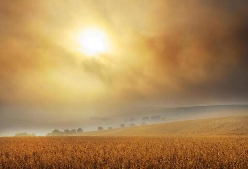 Fotos del hotel Helen Browning's Royal Oak:  8