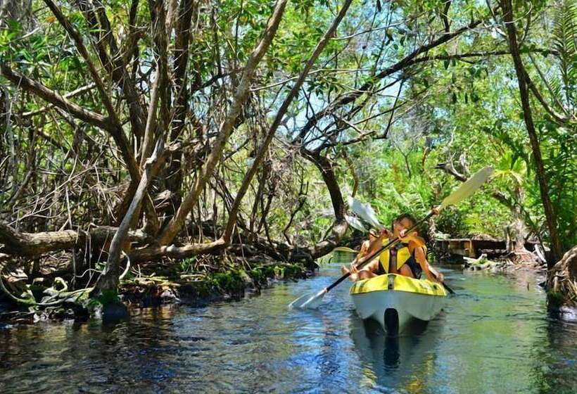 Fotos del hotel Boutique La Josefina  Adults Only:  14