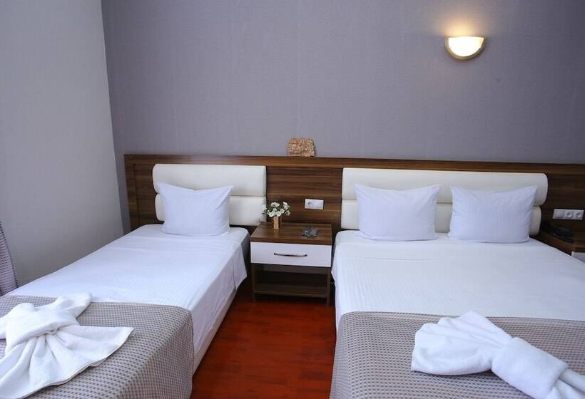 Fotos del hotel Aristocrat:  14