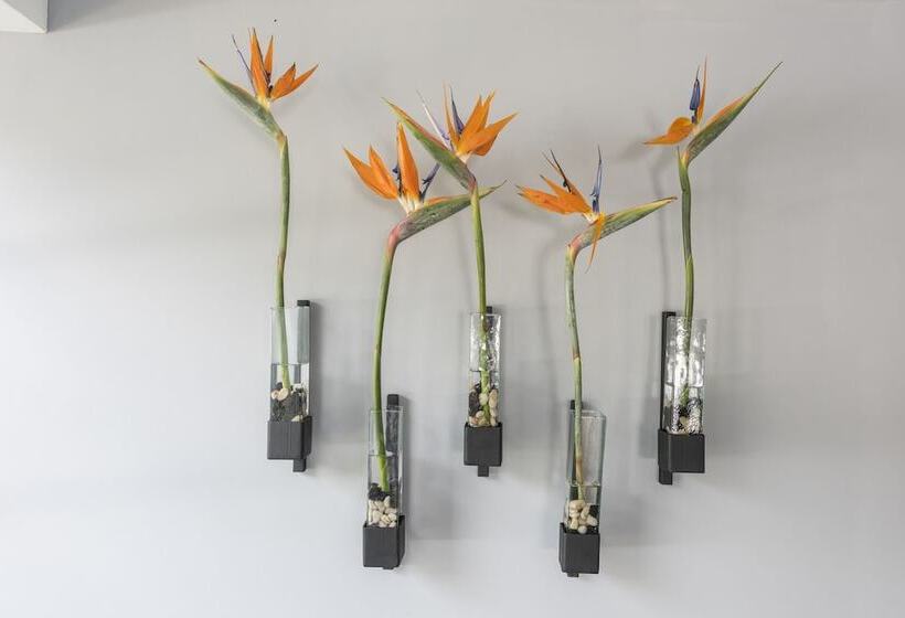 Fotos del hotel Foresta:  2