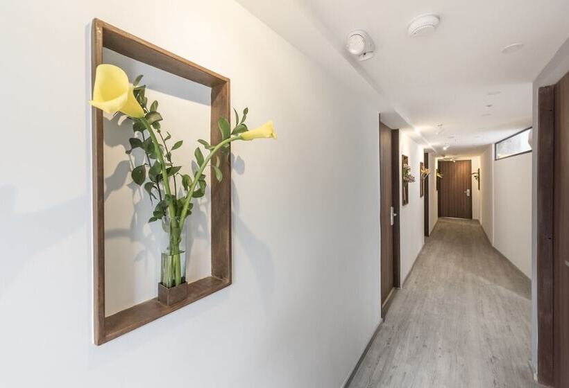 Fotos del hotel Foresta:  3