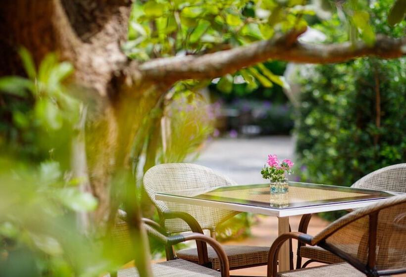 Fotos del hotel Parc Borough City Resort:  17