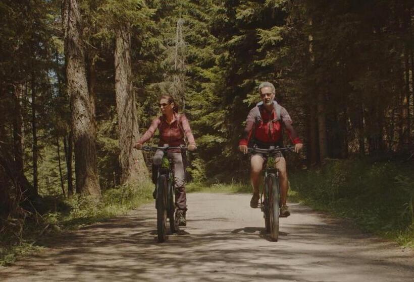 Fotos del hotel Saltus:  12