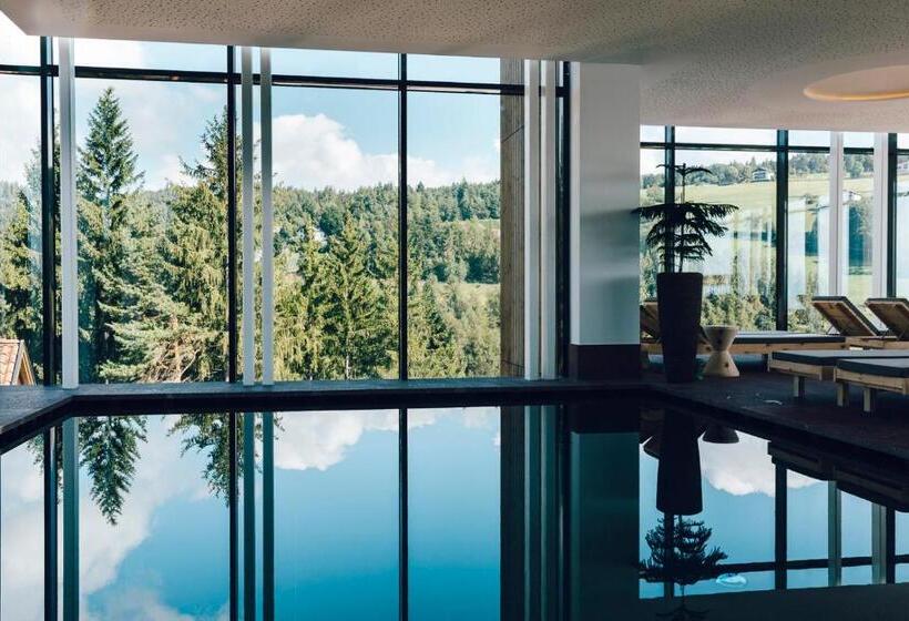 Fotos del hotel Saltus:  7