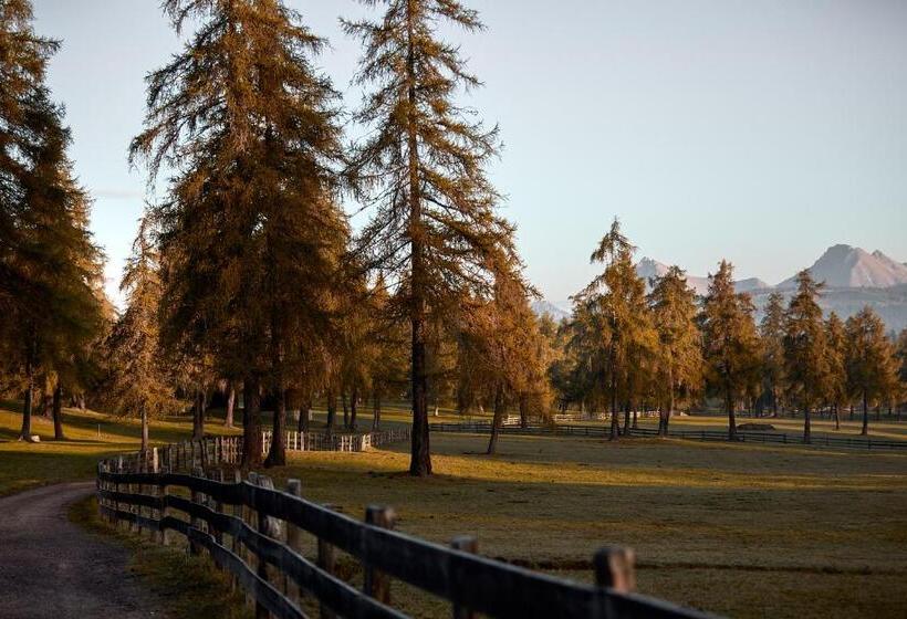 Fotos del hotel Saltus:  9