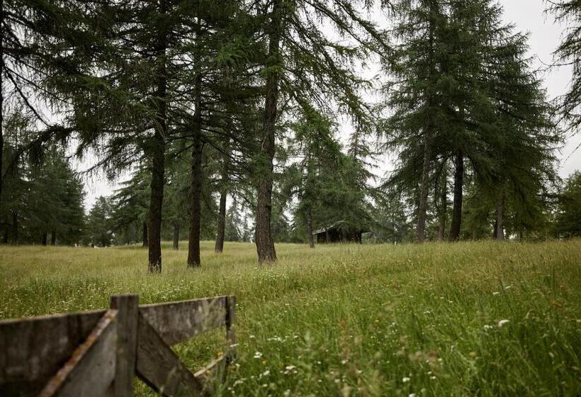 Fotos del hotel Saltus:  11