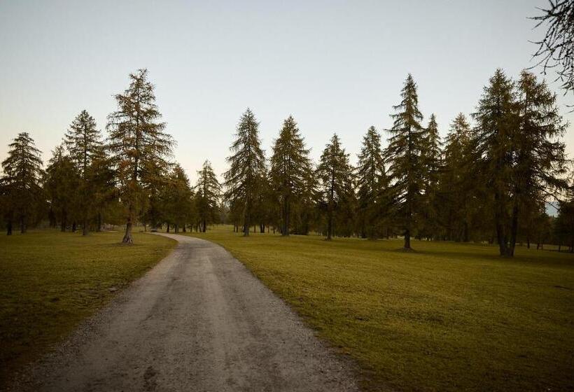 Fotos del hotel Saltus:  20