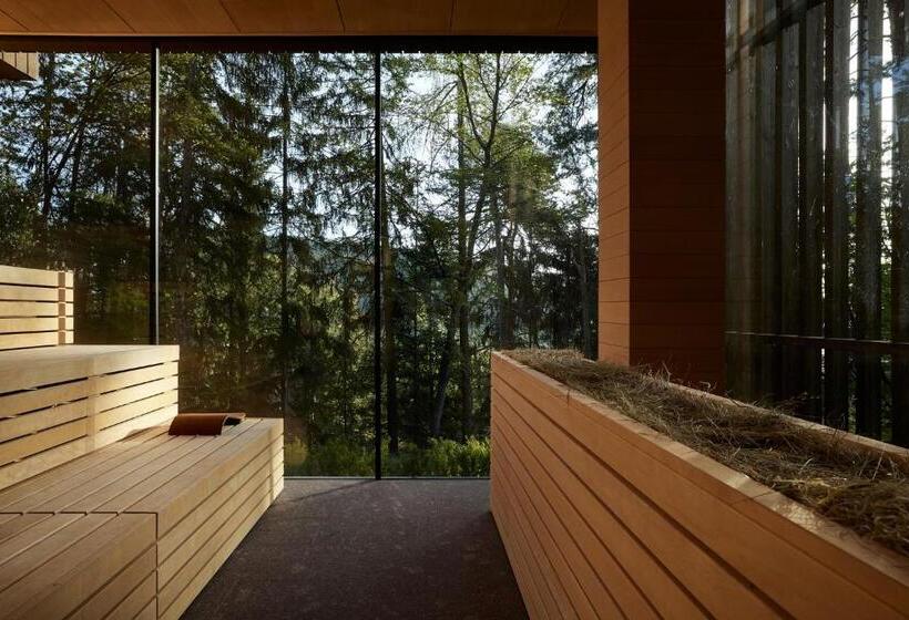 Fotos del hotel Saltus:  21