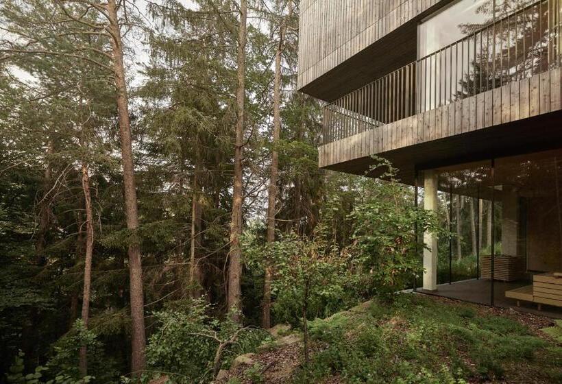 Fotos del hotel Saltus:  23