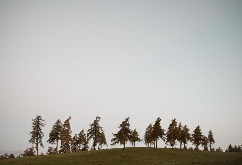 Fotos del hotel Saltus:  25