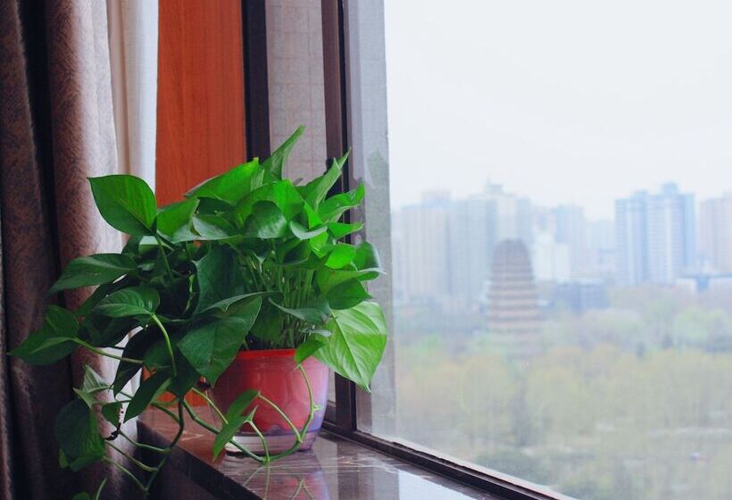 Fotos del hotel Xi An Guotai Commercial:  19