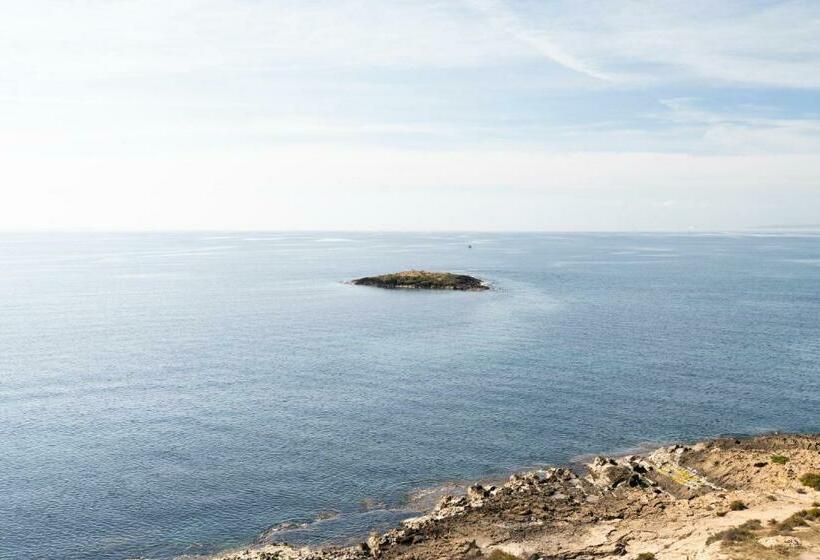 اتاق استاندارد با چشم‌انداز دریا, Aluasoul Palma Hotel Adults Only