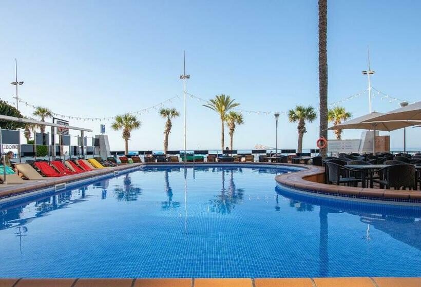 اتاق استاندارد یک نفره, Innside Costablanca - Adults Only