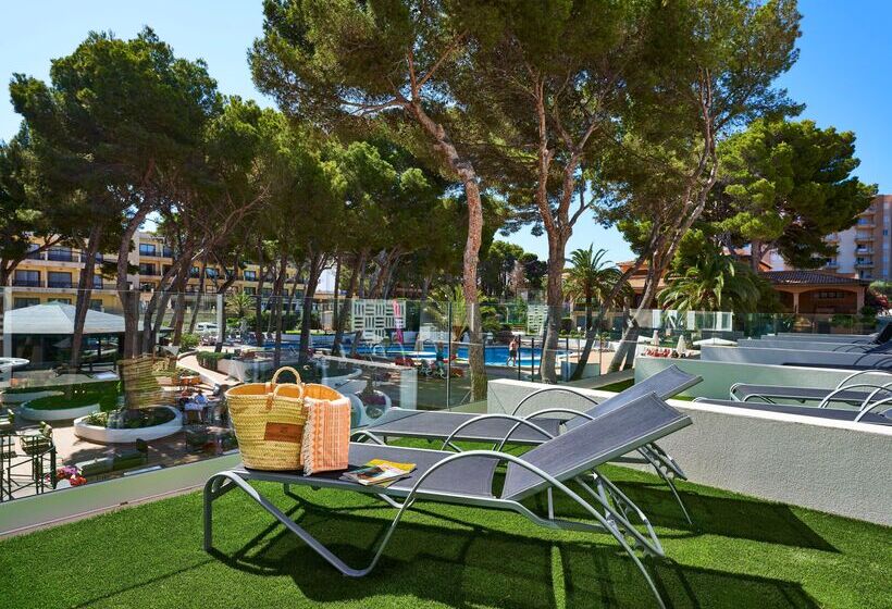 اتاق استاندارد, & Spa S'entrador Playa