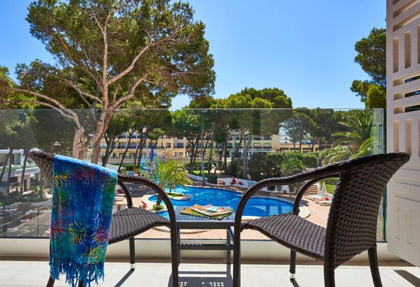 اتاق استاندارد, & Spa S'entrador Playa